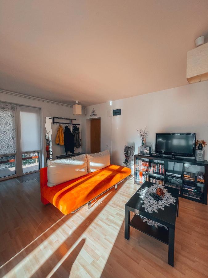 Appartement Sebiana à Buşteni Extérieur photo